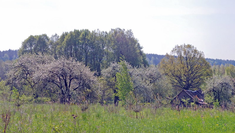 краявід