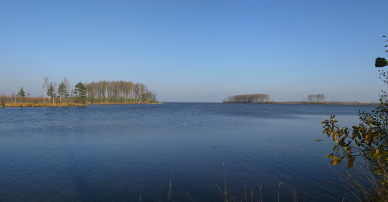 безбрежная даль озера Ельня.